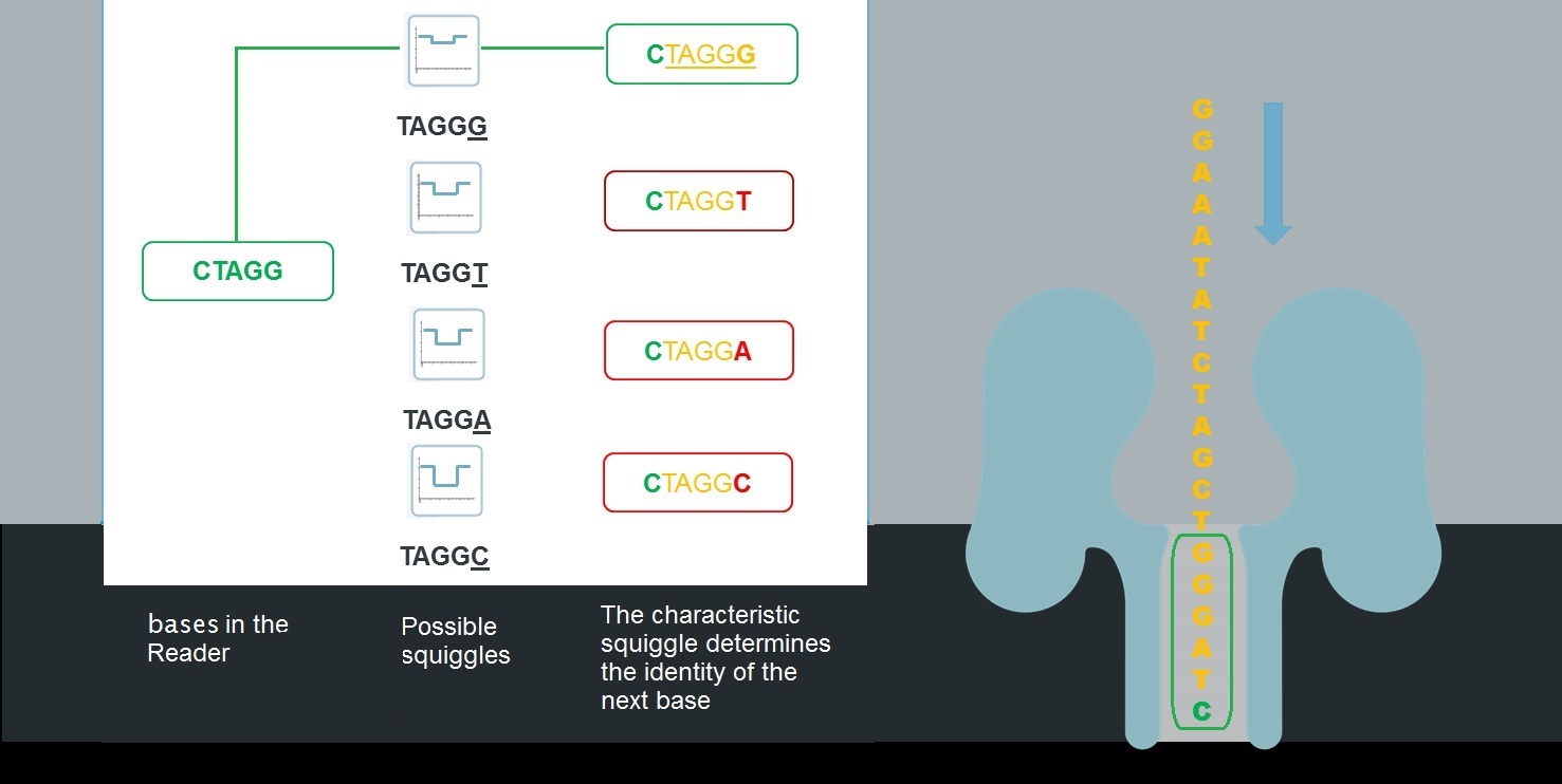 Nanopore Sensing How It Works